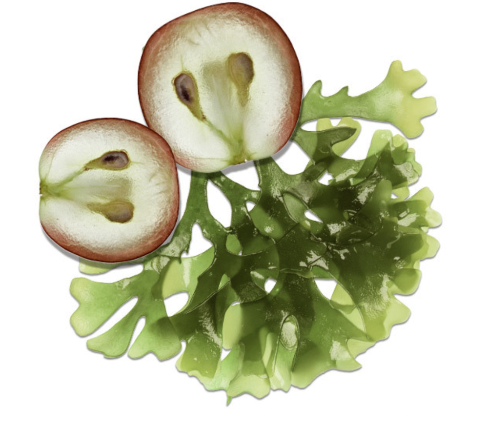 HYDROPEPTIDE HYDROSTEM SERUM 
Gesichtsserum gegen Falten mit PhytoCellTec™ Anti Age verjüngendem Boosting-Peptidserum mit Wirksamkeit bis auf zellulärer Ebene der DNA. Hydropeptide