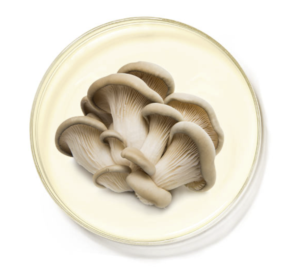HYDROPEPTIDE AQUABOOST 
Professioneller Gesichtspflegecreme Aquaboost Feuchtigkeitsspendende Creme für Misch- und fettige Haut. Wirksamkeit auf zellulärer Ebene der DNA