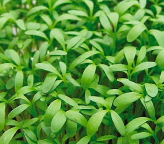 Innea Medicals Cosmetics<br>Lightening Mask<br>Aufhellende und Depigmentierende<br>Bio-Zellulose Maske<br>1 stk