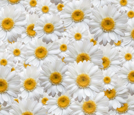 Geschenk Soothing Mask<br>Empfindliche Haut, Alginate Maske