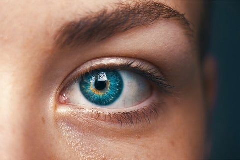 Desinfektionsmittel für die Augenpartie<br>Clinisept+ Purif Eye<br>Antimikrobielle Reinigungslösung mit ausgewogenem pH