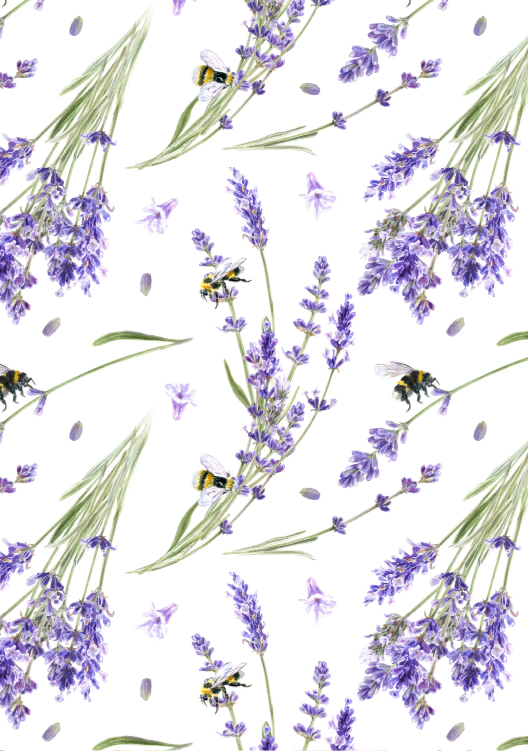 MC-AROMA SHOWER <br>LAVENDER 
Dusch-Aromafilter Medicals Cosmetics <br> Lavender mit Vitamin C