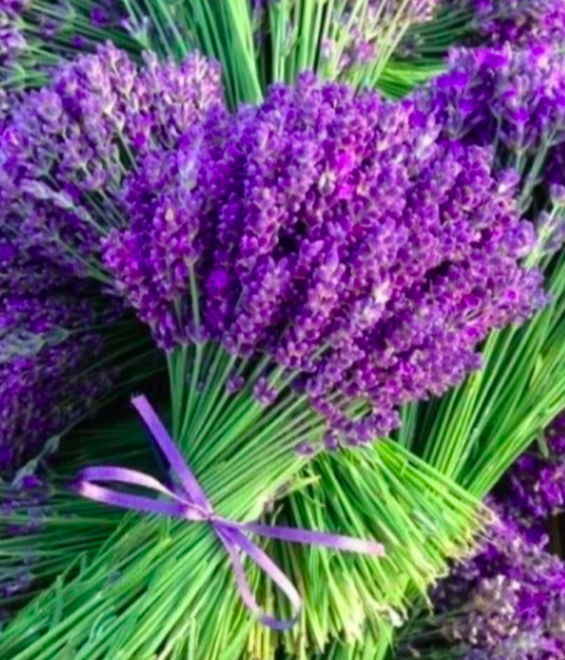 Purifying Mask<br>Peel off Maske für fettige Haut