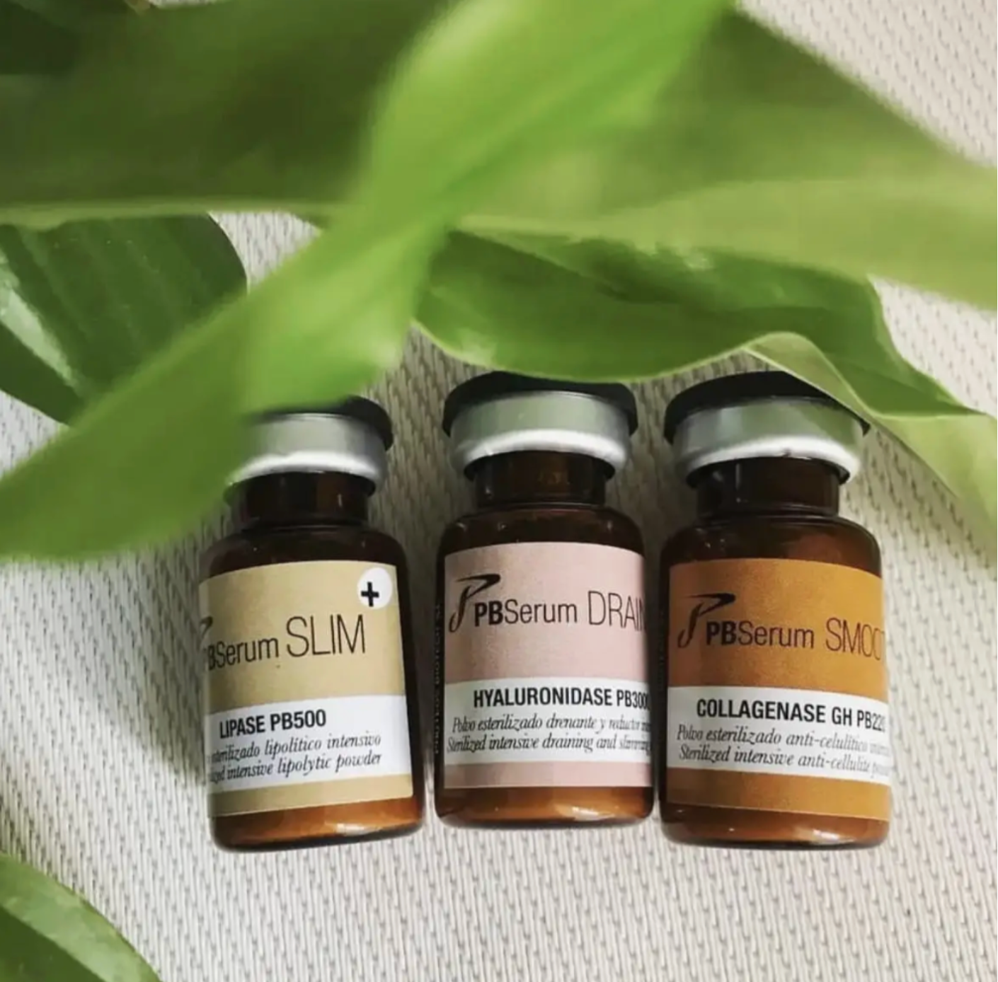 PBSERUM SMOOTH + ( COLLAGENASE GH PB220) 
Unterstützung von Kollagen durch Enzyme pflanzlichen Ursprungs. Enzym-Kollagenase GH PB220