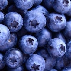 PROFI BLUEBERRY PEEL<br>Schonendes aufhellendes Peeling mit Heidelbeeren
